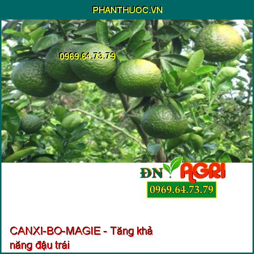 SIÊU ĐẬU TRÁI CHỐNG RỤNG CANXI-BO-MAGIE - ĐẬU TRÁI NON, CHỐNG RỤNG TRÁI