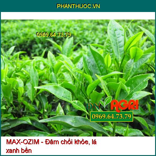 PHÂN BÓN HỮU CƠ MAX-OZIM -Kích Thích Ra Rễ Mạnh, Lá Xanh Bền, Lá Dày, Cứng Cây