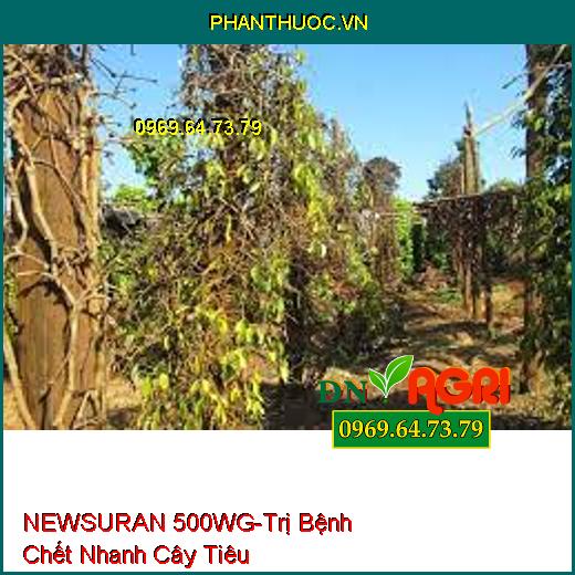 THUỐC TRỪ BỆNH NEWSURAN 500WG - Đặc Trị Bệnh Chết Nhanh Trên Hồ Tiêu