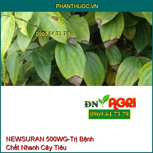 THUỐC TRỪ BỆNH NEWSURAN 500WG - Đặc Trị Bệnh Chết Nhanh Trên Hồ Tiêu