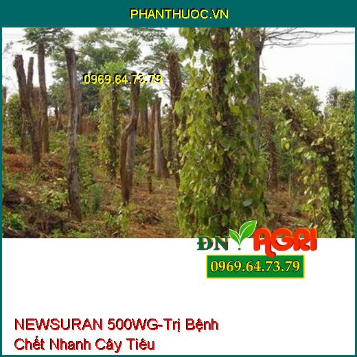 THUỐC TRỪ BỆNH NEWSURAN 500WG - Đặc Trị Bệnh Chết Nhanh Trên Hồ Tiêu