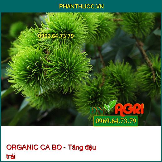 PHÂN BÓN VI LƯỢNG AGRO PACIOBO ORGANIC CA BO - Giúp Mát Cây, Mát Trái, Chống Rụng Hoa Trái Non