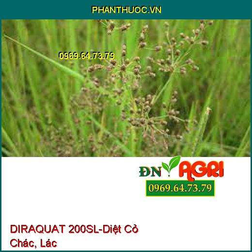 THUỐC TRỪ CỎ DIRAQUAT 200SL -DIỆT CỎ TRÊN VƯỜN CÀ PHÊ HIỆU QUẢ SAU 24 GIỜ 