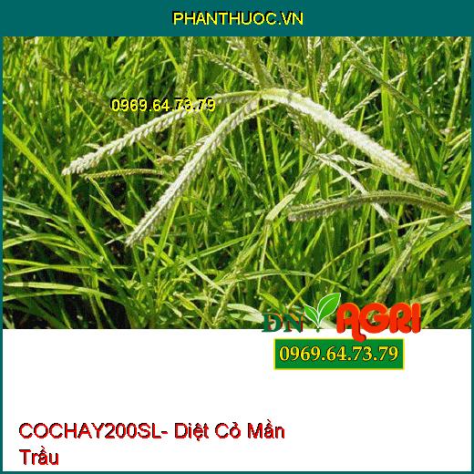 THUỐC TRỪ CỎ COCHAY200SL- DIỆT SẠCH TẤT CẢ CÁC LOẠI CỎ LỚN NHỎ