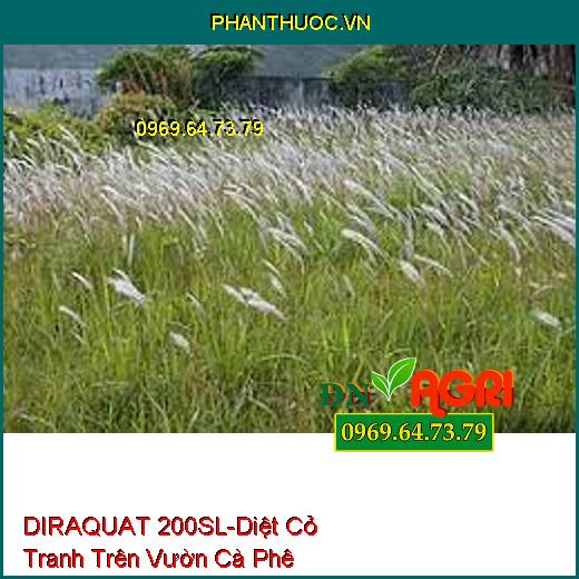 THUỐC TRỪ CỎ DIRAQUAT 200SL -DIỆT CỎ TRÊN VƯỜN CÀ PHÊ HIỆU QUẢ SAU 24 GIỜ 