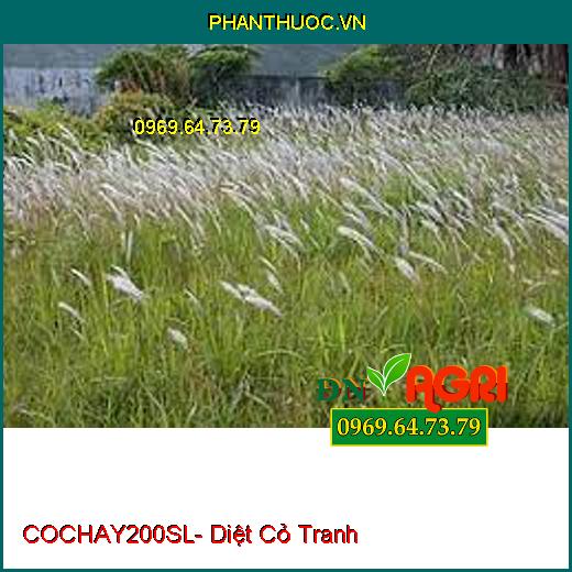 THUỐC TRỪ CỎ COCHAY200SL- DIỆT SẠCH TẤT CẢ CÁC LOẠI CỎ LỚN NHỎ