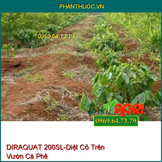 THUỐC TRỪ CỎ DIRAQUAT 200SL -DIỆT CỎ TRÊN VƯỜN CÀ PHÊ HIỆU QUẢ SAU 24 GIỜ 