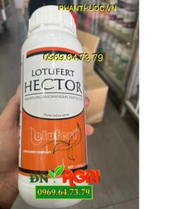 Combi Hector Lotufert Hector - Cây Phát Triển Toàn Diện - Phục Hồi Cây Sau Thu Hoạch