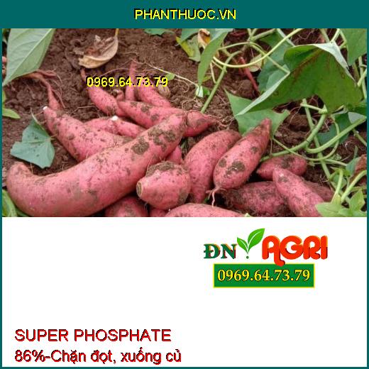 SUPER PHOSPHATE 86% - Chuyên Tạo Mầm Hoa Vụ Nghịch, Ức chế ngọn, Hạn Chế Đi Đọt