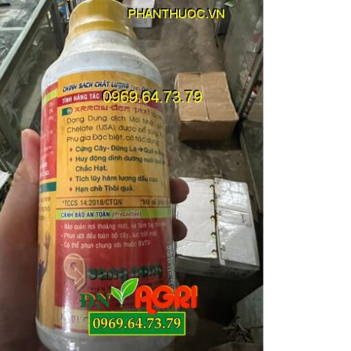 ĐẸP TRÁI ĐẬU PHỘNG 3 TRONG 1 - Siêu Ra Hoa, Đậu Quả, To Quả, Chắc Hạt, Nhiều Dầu