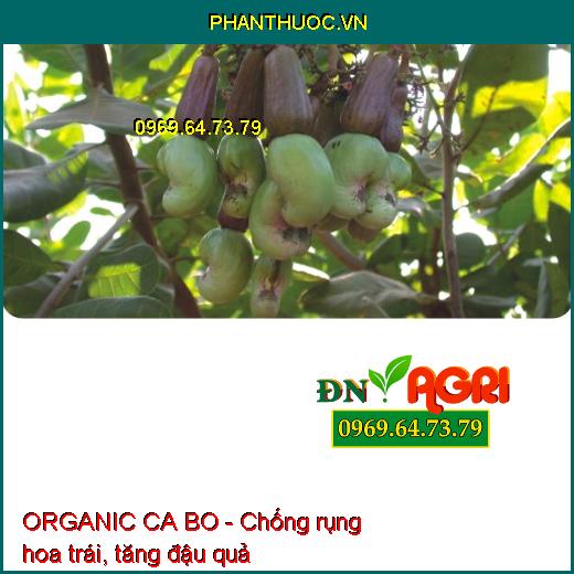 PHÂN BÓN VI LƯỢNG AGRO PACIOBO ORGANIC CA BO - Giúp Mát Cây, Mát Trái, Chống Rụng Hoa Trái Non