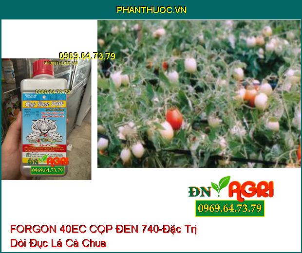 THUỐC TRỪ SÂU FORGON 40EC CỌP ĐEN 740 - Đặc Trị Tuyến Trùng, Rệp Sáp, Bọ Hà, Sâu Đục Thân