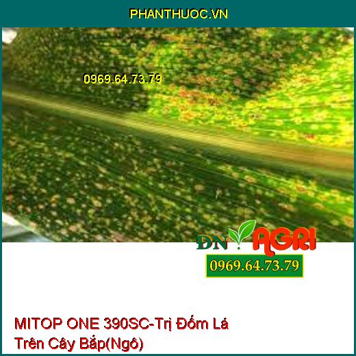 THUỐC TRỪ BỆNH MITOP ONE 390SC HAPPY TOP- Điều Trị Các Loại Nấm, Đẹp Trái - Bóng Trái.