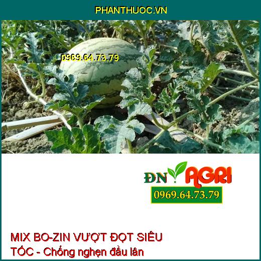 MIX BO-ZIN VƯỢT ĐỌT SIÊU TỐC - Mập Đọt, Đọt Vươn Daì, Hạn Chế Nghẹn Đầu Lân