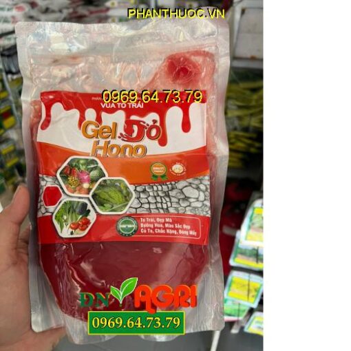 GEL ĐỎ HONO VUA TO TRÁI - Dưỡng Hoa, To Trái, Đẹp Mã, Củ To, Chắc Hạt