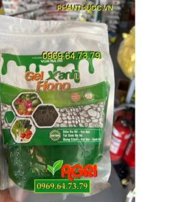 GEL XANH HONO VUA RA RỄ – Siêu Ra rễ, Vọt Đọt, Tái Sinh Hệ Rễ, Bung Cành Vọt Đọt, Xanh Cây