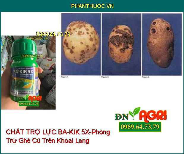 CHẤT TRỢ LỰC DÙNG TRONG NÔNG NGHIỆP ABC BOBOMIC MICRONUTRIENTS BA-KIK 5X 100ML LƯU DẪN 2 CHIỀU