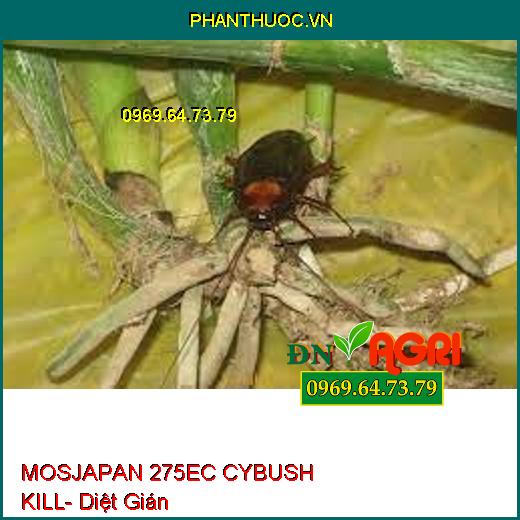 MOSJAPAN 275EC CYBUSH KILL- Diệt Ruồi-Kiến-Gián- Diệt Trứng Và Xua Đuổi Mạnh