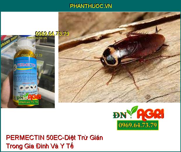 THUỐC DIỆT CÔN TRÙNG PERMECTIN 50EC- TIÊU DIỆT MUỖI, RUỒI, KIẾN, GIÁN, BỌ CHÉT