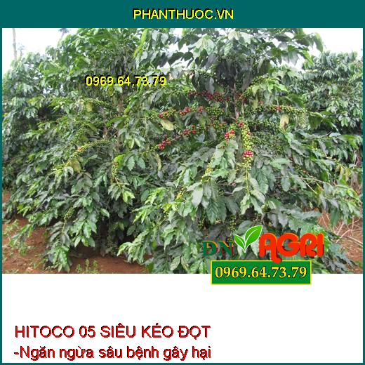 HITOCO 05 SIÊU KÉO ĐỌT - Giúp Phóng Đọt Cực Nhanh, Mập Đọt, Sung Cây, Xanh Lá