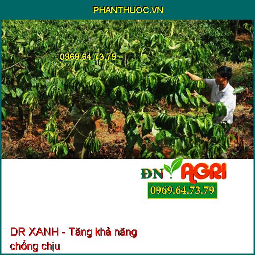 Dr Xanh AMINO ACID 40 - XANH CÂY DÀY LÁ, MÁT BÔNG, NEO TRÁI, XANH LÁ