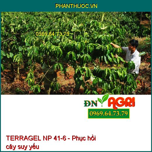 PHÂN BÓN DẠNG GEL TERRAGEL NP 41-6 ĐÂM CHỒI DƯỠNG BÚP VỚI VI LƯỢNG CHELATE -  Đâm Chồi, Xanh Lá, Phục Hồi Cây