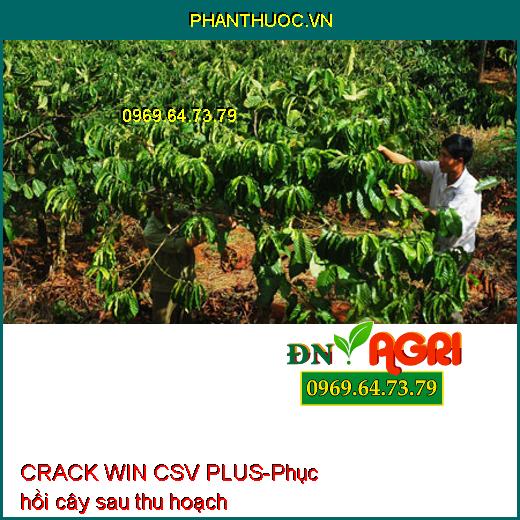 PHÂN BÓN LÁ TRUNG VI LƯỢNG CRACK WIN CSV PLUS- To Quả, Đẹp Màu, Tăng Năng Suất