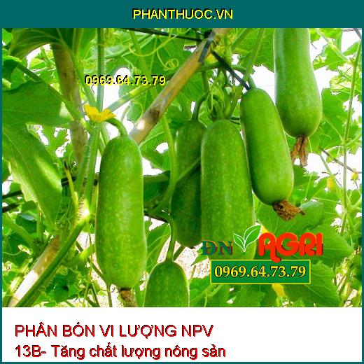 PHÂN BÓN VI LƯỢNG NPV 13B- PHÌ TRÁI THẦN TỐC- DÀY CƠM- NẶNG KÝ