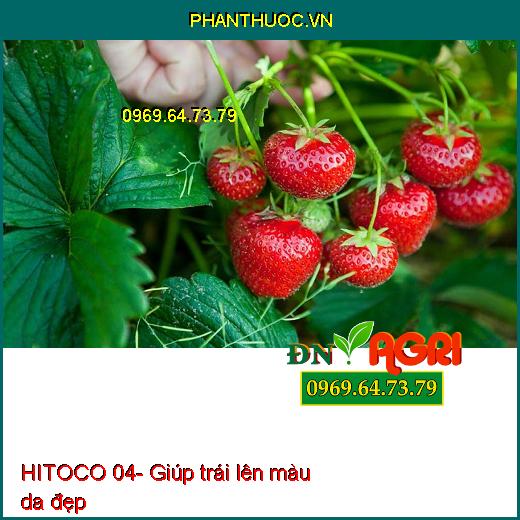 AV EUROMAX NPK 3-3-12 HITOCO 04- Lớn Trái Thần Tốc, Đẹp Trái, Nặng Ký, Múi To