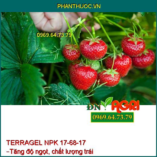 TERRAGEL NPK 17-68-17 – Kích Hoa Đồng Loạt, Ra Rễ Cực Mạnh