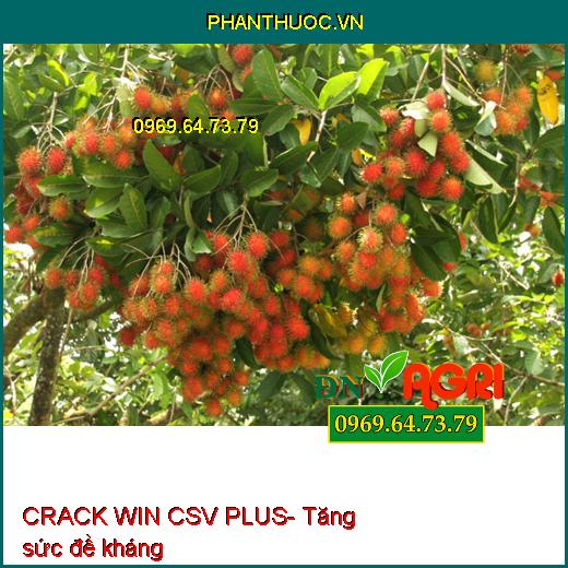 PHÂN BÓN LÁ TRUNG VI LƯỢNG CRACK WIN CSV PLUS- To Quả, Đẹp Màu, Tăng Năng Suất