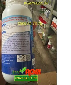 HITOCO 22 RƯỚC MẮT CUA - Rước Hoa Đồng Loạt, Chống Rụng Hoa, Rụng Trái Non