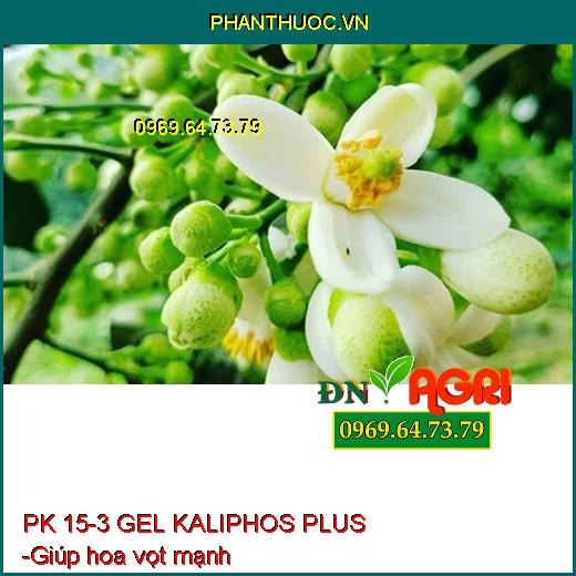 PK 15-3 GEL KALIPHOS PLUS SIÊU RA HOA - Bung Hoa Đồng Loạt, Mập Bông, Sáng Bông