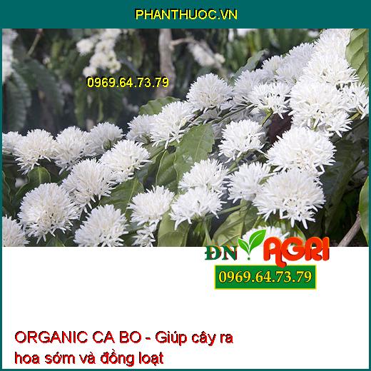 PHÂN BÓN VI LƯỢNG AGRO PACIOBO ORGANIC CA BO - Giúp Mát Cây, Mát Trái, Chống Rụng Hoa Trái Non