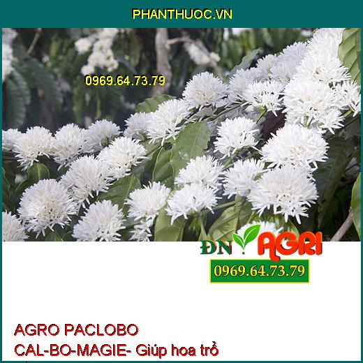 AGRO PACLOBO CAL-BO-MAGIE- Hạn Chế Rụng Trái, Tăng Thụ Phấn, Chống Nứt, Méo Trái