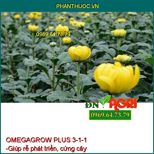 PHÂN BÓN LÁ OMEGAGROW PLUS 3-1-1 - Đâm Chồi, Phát Đọt, Phát Rễ, Lá Xanh, Dày Lá, Lớn Trái