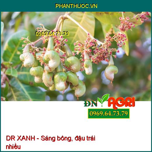 Dr Xanh AMINO ACID 40 - XANH CÂY DÀY LÁ, MÁT BÔNG, NEO TRÁI, XANH LÁ