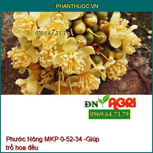 Phước Nông MKP 0-52-34 - Tạo Nhiều Mầm Hoa-Ra Hoa Nghịch Vụ-Lá Nhanh Già-Trổ Hoa Đều