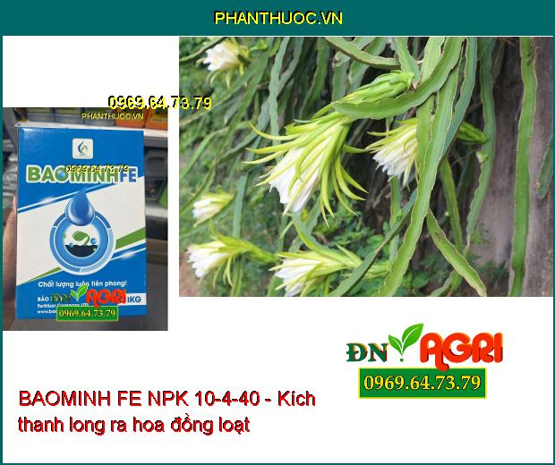 BAOMINH FE NPK 10-4-40 Kích Ra Hoa Đồng Loạt- Lớn Trái- Phát Triển Cực Mạnh