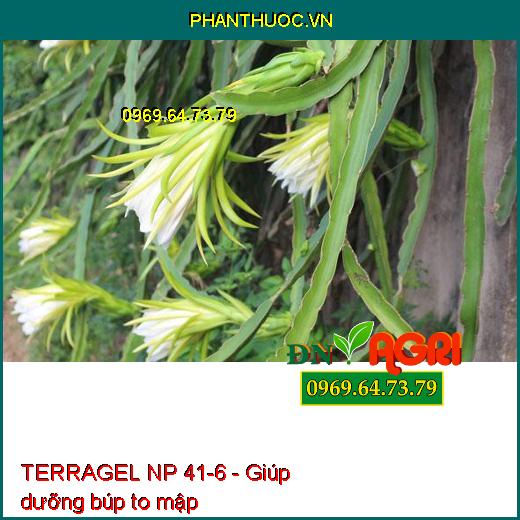 PHÂN BÓN DẠNG GEL TERRAGEL NP 41-6 ĐÂM CHỒI DƯỠNG BÚP VỚI VI LƯỢNG CHELATE -  Đâm Chồi, Xanh Lá, Phục Hồi Cây