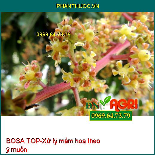 BOSA TOP- Bậc Thầy Tạo Mầm Hoa Nghịch Vụ- Chống Rụng Trái Non- Diu Đọt Lá Nhanh Già