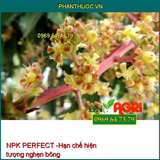 PHÂN NPK PERFECT SỮA RA HOA NÔNG VUI - Giúp Tạo Mầm, Hoa Ra Đồng Loạt, Rước Bông Dài Mập Mạnh, Ra Hoa Mạnh, Tượt Hoa Dài, Mập Khỏe