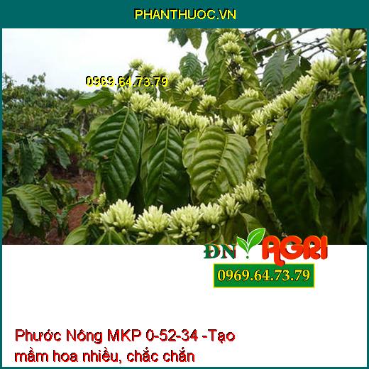 Phước Nông MKP 0-52-34 - Tạo Nhiều Mầm Hoa-Ra Hoa Nghịch Vụ-Lá Nhanh Già-Trổ Hoa Đều