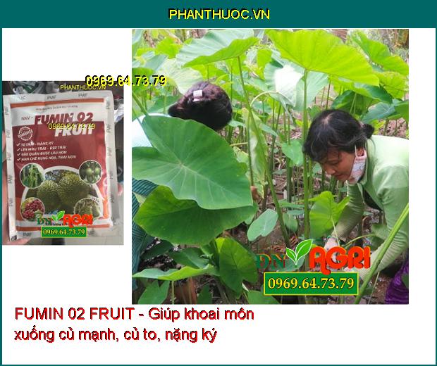 FUMIN 02 FRUIT - To Trái-Nặng Ký- Đẹp Trái- Hạn Chế Rụng Hoa, Trái Non