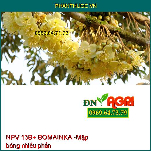 PHÂN BÓN VI LƯỢNG NPV 13B+ BOMAINKA - Chống Rụng Bông, Trái Non, Tăng Đậu Trái