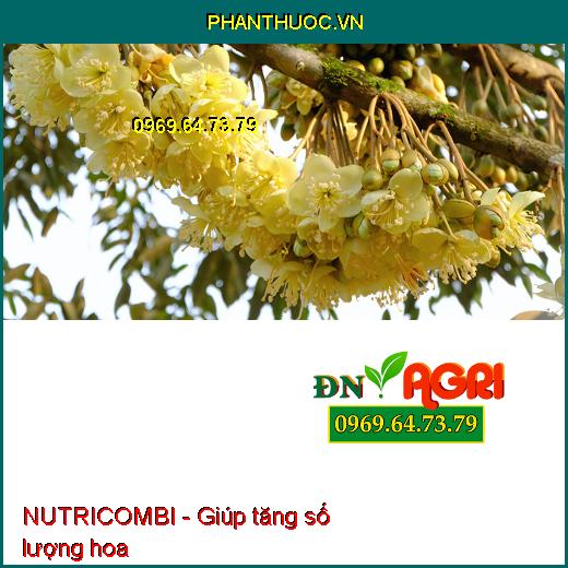 PHÂN BÓN VI LƯỢNG NUTRICOMBI - KÍCH THÍCH TĂNG ĐẬU TRÁI CÂY TRỒNG - TĂNG LƯỢNG HOA - CHẤT LƯỢNG CỦA TRÁI