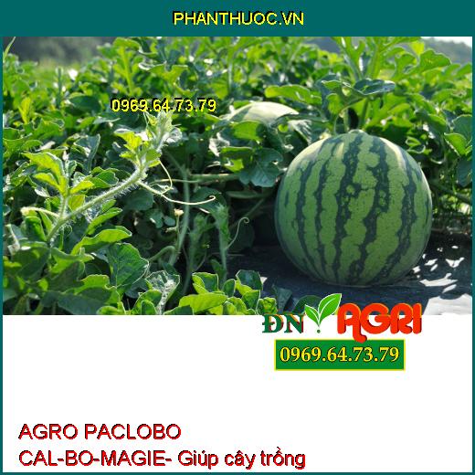 AGRO PACLOBO CAL-BO-MAGIE- Hạn Chế Rụng Trái, Tăng Thụ Phấn, Chống Nứt, Méo Trái