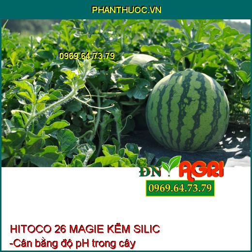 PHÂN BÓN LÁ AV3 ZIN HITOCO 26 MAGIE KẼM SILIC - XANH GAI, SÁNG TRÁI, PHÁT CHỒI, NẢY LỘC, CỨNG CÂY