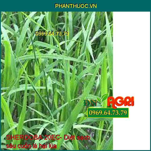 THUỐC TRỪ SÂU SINH HỌC SHERDOBA 20EC- DIỆT SẠCH SÂU, MÁT CÂY