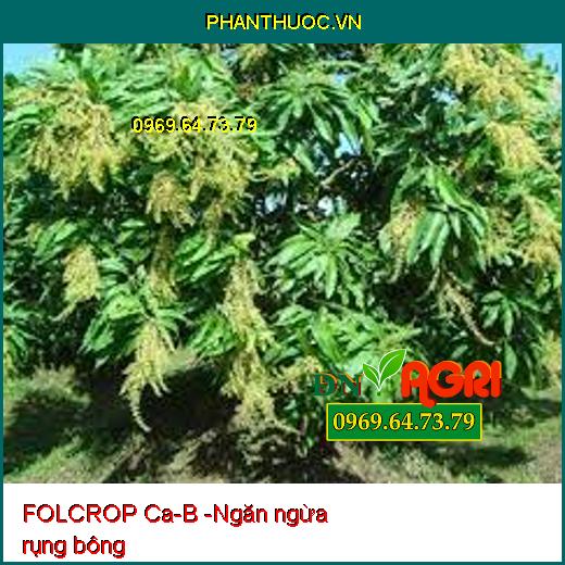 FOLCROP Ca-B - CHỐNG NỨT TRÁI, THỐI TRÁI, KHÁNG KHUẨN, KÍCH THÍCH RA HOA